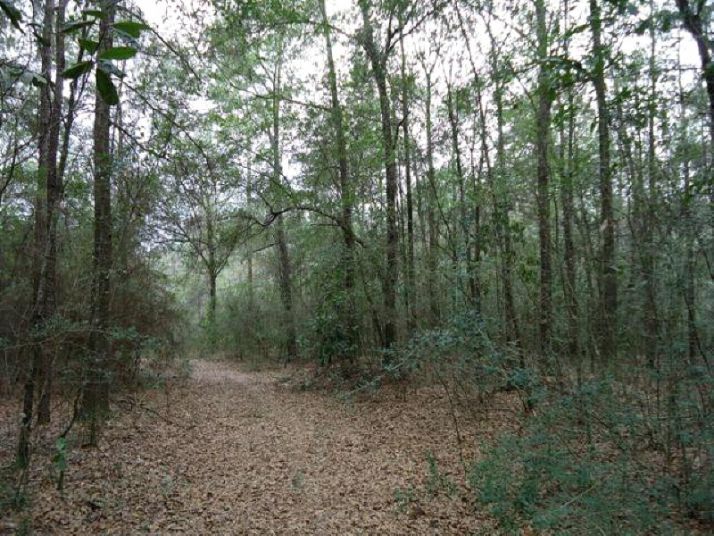 0 North River Road, Loxley, AL 36551