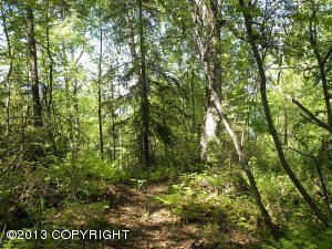 6928 S Big Lake Road, Big Lake, AK 99652