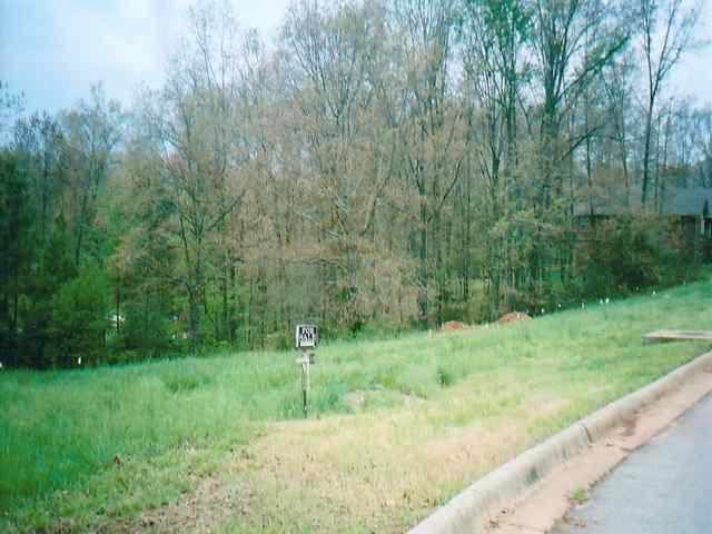 Lot 10 & 11 Bruin Court Ct, Mountain Home, AR 72653