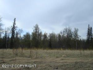 7786 E Tributary Avenue, Palmer, AK 99645