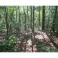 1699 Shade Tree Drive, Talking Rock, GA 30175 ID:5960761