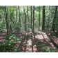 1699 Shade Tree Drive, Talking Rock, GA 30175 ID:5702410