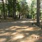 3855 Tree Ln, West Point, CA 95255 ID:86538