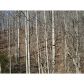 3 Myrtle Drive, Dahlonega, GA 30533 ID:5575819