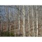 3 Myrtle Drive, Dahlonega, GA 30533 ID:5575823