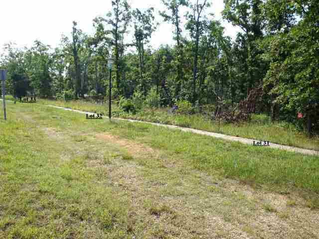 Lot 31 Spring Street St, Mountain Home, AR 72653