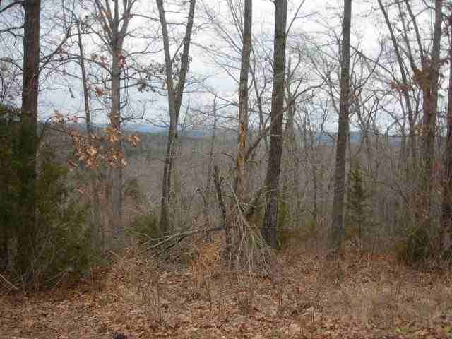 Lot 302 Baypoint Drive Dr, Mountain Home, AR 72653