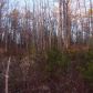 2 Cabin Country, Morganton, GA 30560 ID:2537032