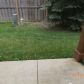 2635 S Cedar Glen Dr, Arlington Heights, IL 60005 ID:589906