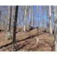 51 Green Meadow, Dahlonega, GA 30533 ID:5553953