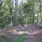 105 Hunting Valley Trail, Cumming, GA 30040 ID:2690109