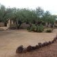 2345 Camino Shangrila, Tubac, AZ 85646 ID:1651420