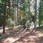 26452 Sunset Ct N, Pioneer, CA 95666 ID:1073421