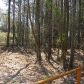 938 Slate Mine Road, Fairmount, GA 30139 ID:3119795