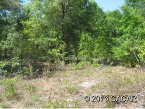 LOT 1 NE 48th Court, High Springs, FL 32643