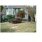 4880 Gold Mine Drive, Buford, GA 30518 ID:2832540