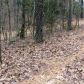 00 CR 206, Eureka Springs, AR 72632 ID:1163113