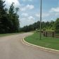 116 Sharp Mountain Creek, Ball Ground, GA 30107 ID:2434544