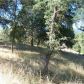 5237 Allred Rd, Mariposa, CA 95338 ID:3820578