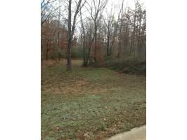 Lots 1,3,5,6 Ridgewood, Harrisburg, AR 72432