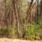 2070 Hornage Road, Ball Ground, GA 30107 ID:2459977