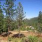 151 South Ponderosa Pine, Lewiston, CA 96052 ID:582711