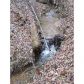 13 River Rock Drive, Dahlonega, GA 30533 ID:5854028