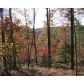 13 River Rock Drive, Dahlonega, GA 30533 ID:5854030