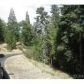 199 Cedar Ridge Drive, Lake Arrowhead, CA 92352 ID:1142548