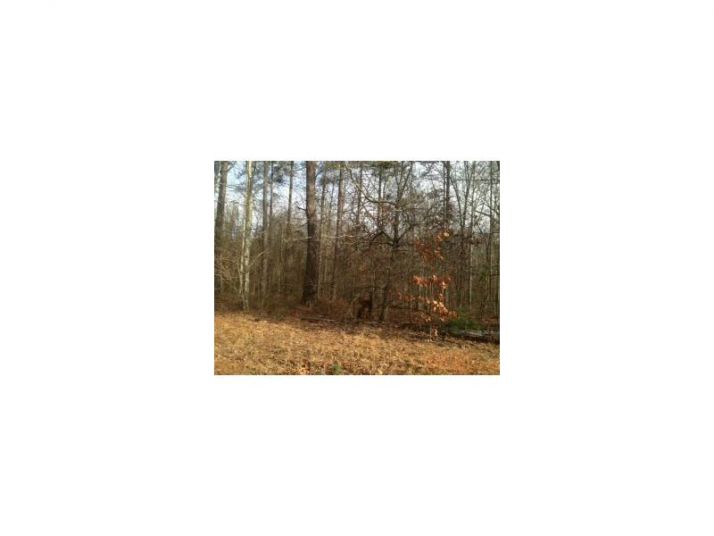 121 Acres Hwy 5 Flint Road, Douglasville, GA 30135