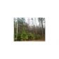 121 Acres Hwy 5 Flint Road, Douglasville, GA 30135 ID:3425177