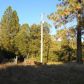 3303 East Westfall Rd, Mariposa, CA 95338 ID:3820596