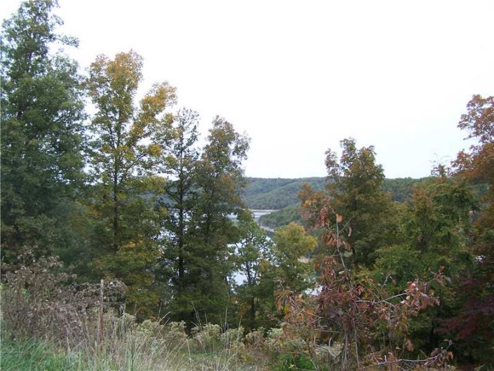CR 152 Lot 9 La Bonne Vie, Eureka Springs, AR 72632