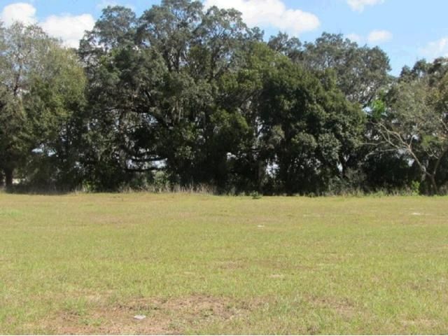 Lakes of Mount Dora Lot 374, Mount Dora, FL 32757