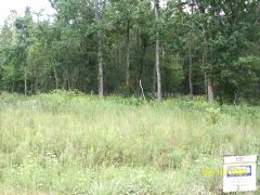 LOT 4 BLK C WINDING RIDGE, Bono, AR 72416