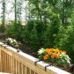 9069 Woodland Trail, Alpharetta, GA 30009 ID:4481307