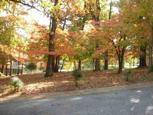 Lot 177 Hillside Circle Cir, Mountain Home, AR 72653