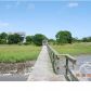 2101 FIDDLER ISLAND LN, Charleston, SC 29412 ID:1901826