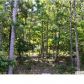 85 Lakeridge Drive, Ashville, AL 35953 ID:1389475