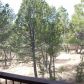 2967 Goshawk Lane, Overgaard, AZ 85933 ID:3224720