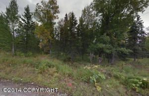 D024 N Moose Meadows Road, Wasilla, AK 99654