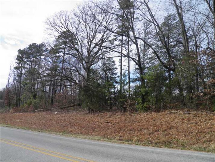 Highway 23 South, Eureka Springs, AR 72632