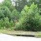 248 Pioneer Trail, Dallas, GA 30132 ID:3133455