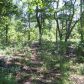 0 Dean Mountain Road, Cleveland, GA 30528 ID:3344312