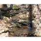 8130 Wilderness Parkway, Jasper, GA 30143 ID:5568992