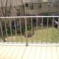 323 Gills Ln #11-e, Iselin, NJ 08830 ID:134884