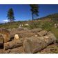 Highway 330, Running Springs, CA 92382 ID:2026750