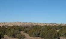 Unit 9 Lot 160 Concho, AZ 85924