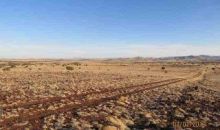 Concho Valley  #6 Lot 1 Concho, AZ 85924