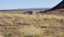 Lot 36 River Meadows Ranch #1 Concho, AZ 85924